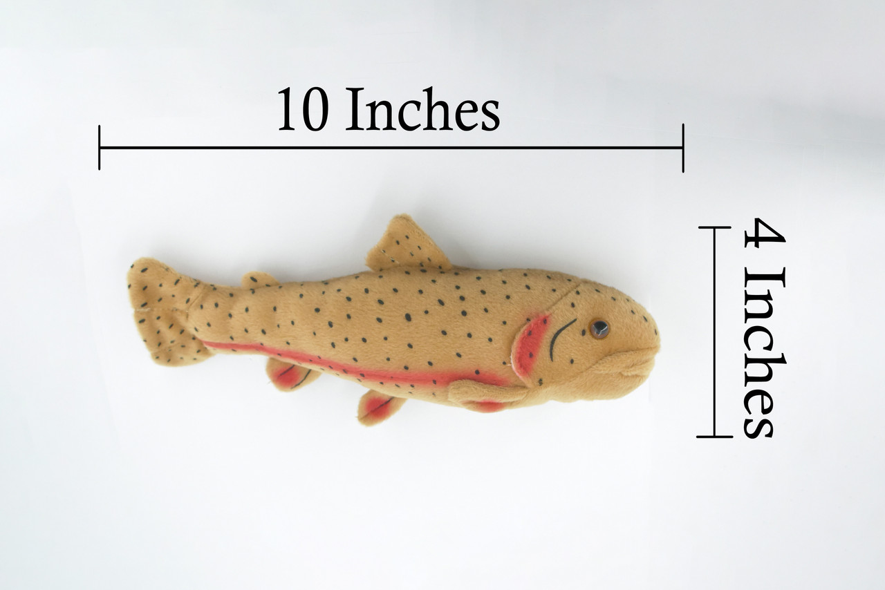 Cutthroat Trout, Very Nice Plush Fish, Stuffed Animal, Educational, Toy, Kids, Realistic Figure, Gift,          10"