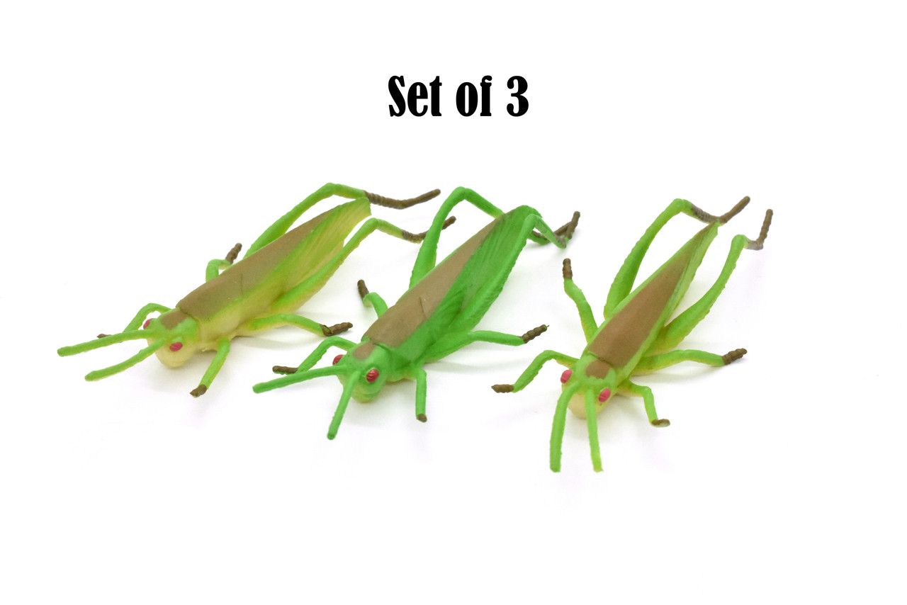 Grasshopper, Rubber Insect, Toy, Realistic Figure, Model, Replica