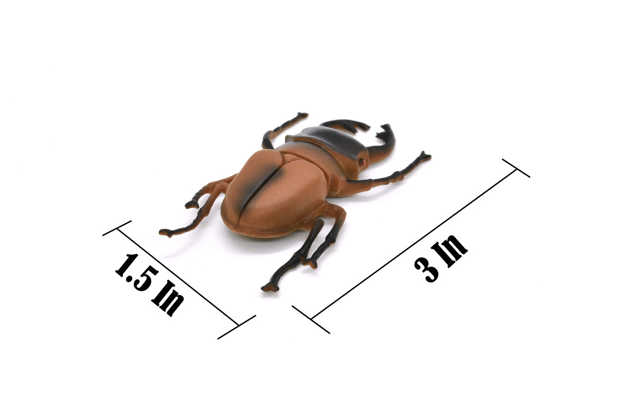 Stag Beetle, Lucanus cervus, Realistic Rubber Model, Bug, Insect, Educational, Hand Painted, Figure, Lifelike, Model, Figurine, Replica, Toy, 2 1/2 Inches 