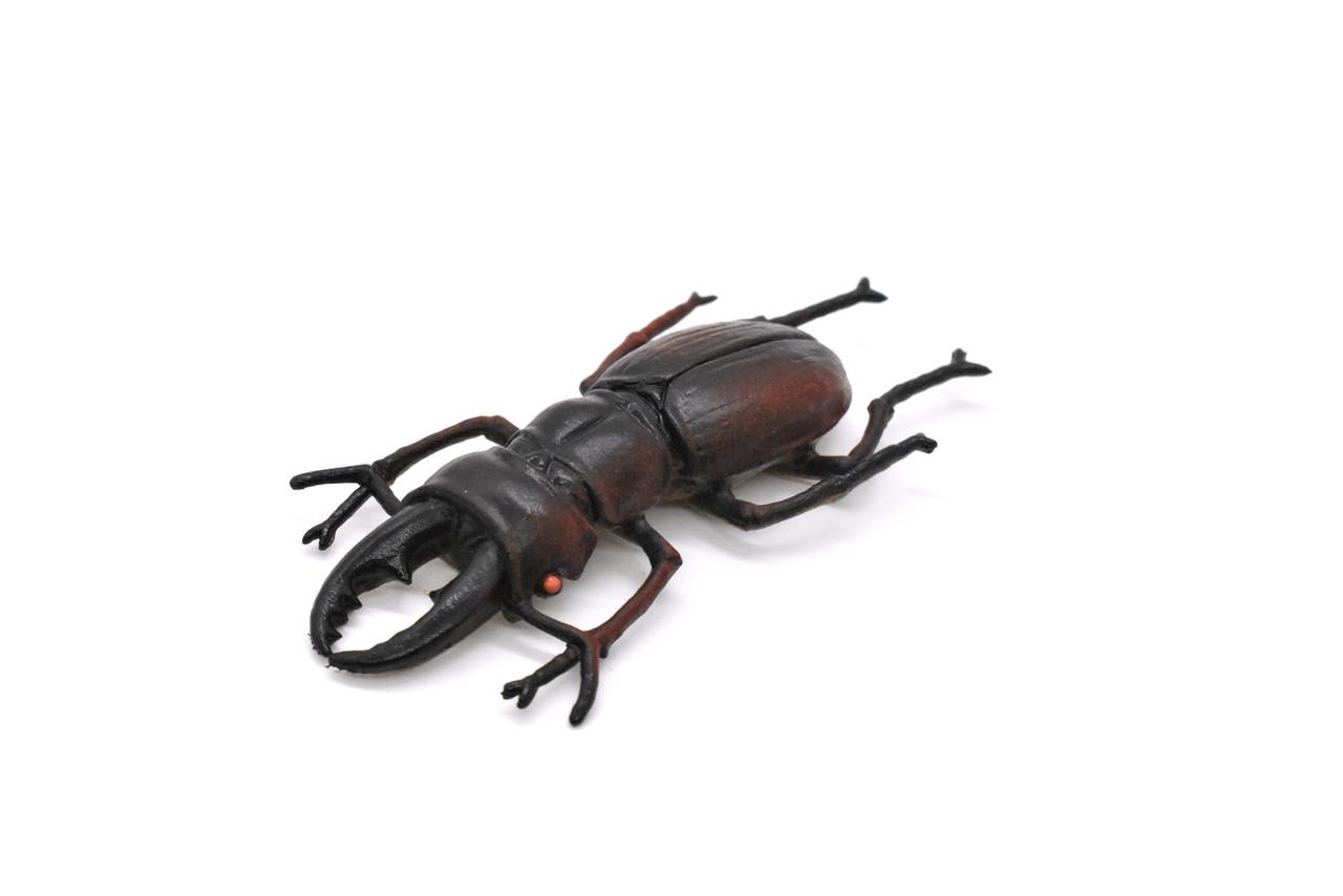 Stag Beetle, Lucanus cervus, Realistic Rubber Model, Bug, Insect, Educational, Hand Painted, Figure, Lifelike, Model, Figurine, Replica, Toy, 2 3/4 Inches  