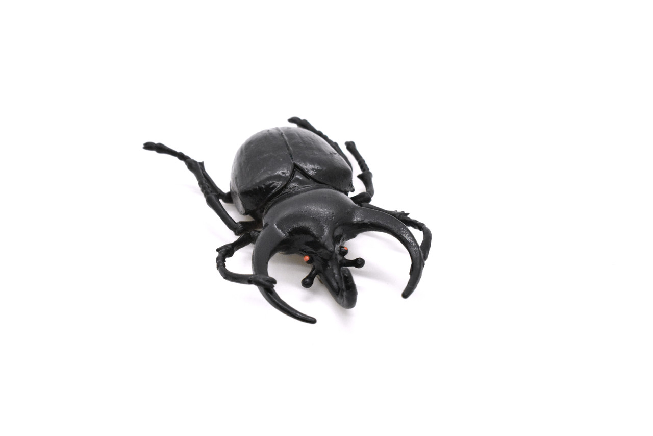 Rhinoceros Beetle, Very Nice Rubber Reproduction    2 3/4"    CWG04 B13