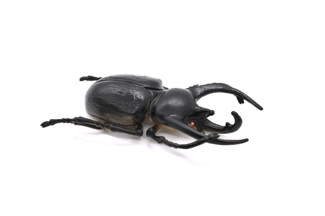Rhinoceros Beetle, Very Nice Rubber Reproduction    2 3/4"    CWG04 B13