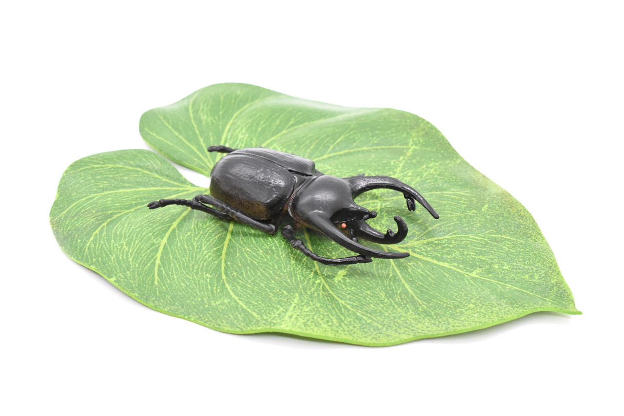 Rhinoceros Beetle, Realistic Rubber Model, Bug, Insect, Educational, Hand Painted, Figure, Lifelike, Model, Figurine, Replica, Toy,  2 3/4 Inches. 
