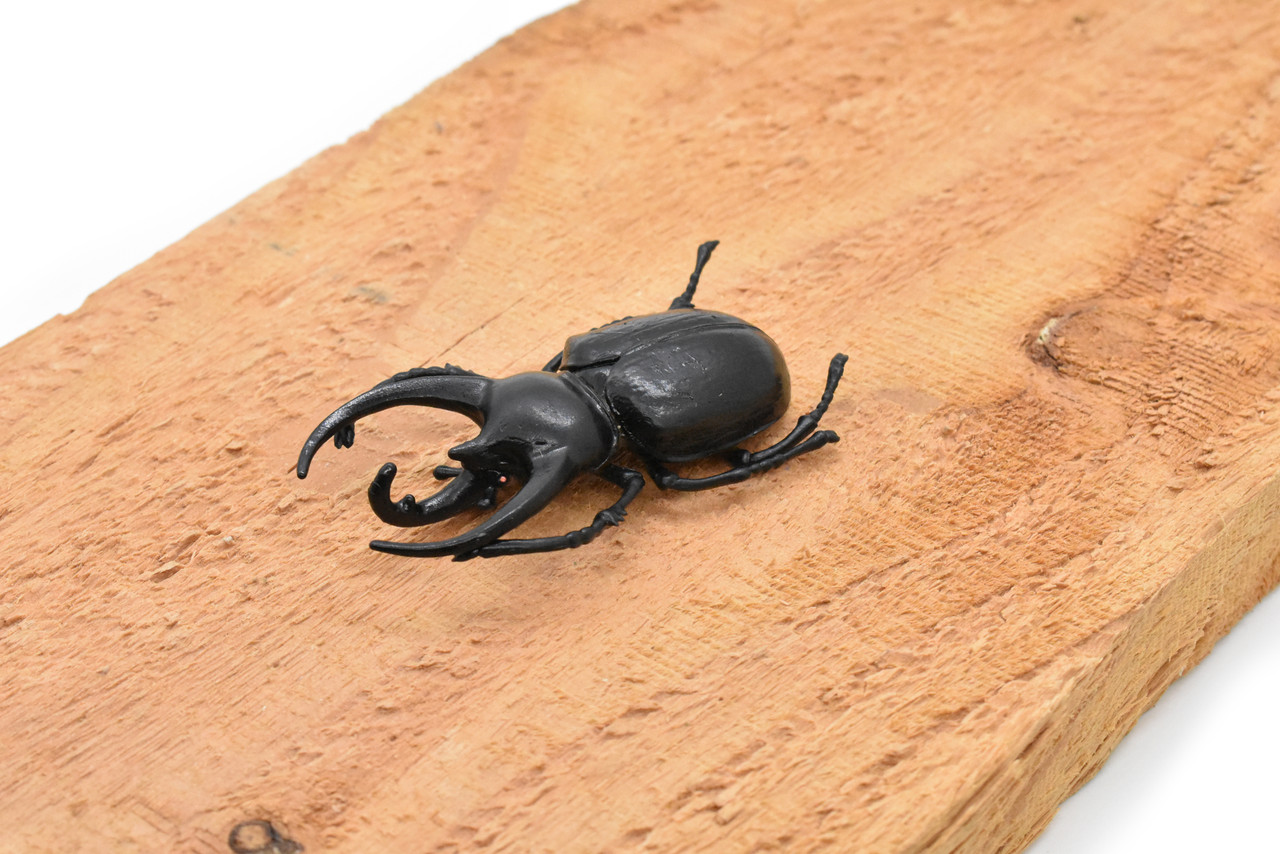 Rhinoceros Beetle, Very Nice Rubber Reproduction    2 3/4"    CWG04 B13