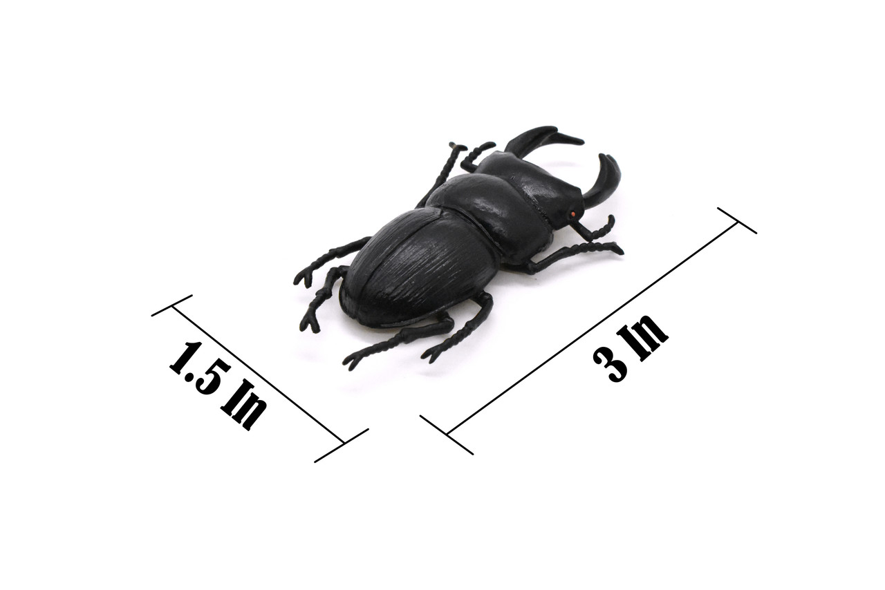 Stag Beetle, Very Nice Rubber Reproduction     3"     CWG05 B13