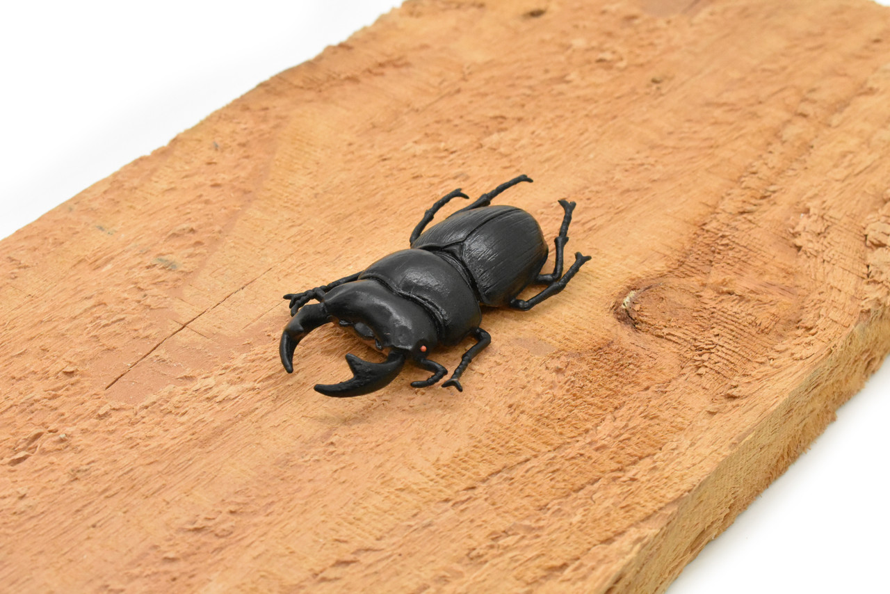 Stag Beetle, Very Nice Rubber Reproduction     3"     CWG05 B13