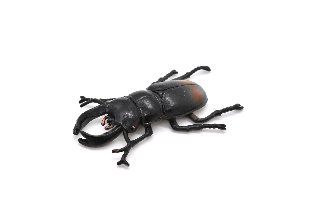 Stag Beetle, Lucanus cervus, Realistic Rubber Model, Bug, Insect, Educational, Hand Painted, Figure, Lifelike, Model, Figurine, Replica, Toy,  2 1/2 Inches  