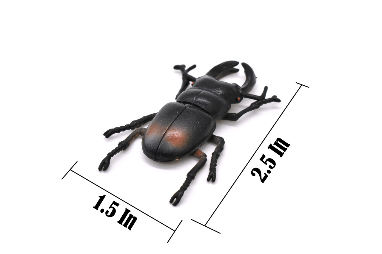 Stag Beetle, Lucanus cervus, Realistic Rubber Model, Bug, Insect, Educational, Hand Painted, Figure, Lifelike, Model, Figurine, Replica, Toy,  2 1/2 Inches  