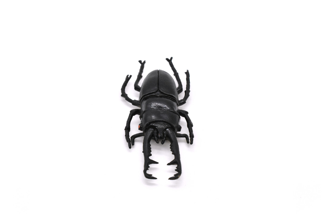 Stag Beetle, Lucanus cervus, Realistic Rubber Model, Bug, Insect, Educational, Hand Painted, Figure, Lifelike, Model, Figurine, Replica, Toy, 2 3/4 Inches 