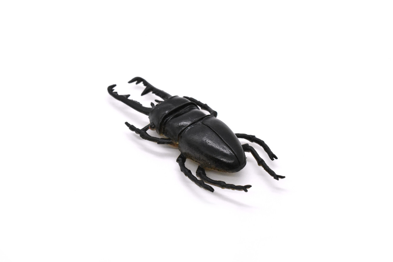Stag Beetle, Lucanus cervus, Realistic Rubber Model, Bug, Insect, Educational, Hand Painted, Figure, Lifelike, Model, Figurine, Replica, Toy, 2 3/4 Inches 