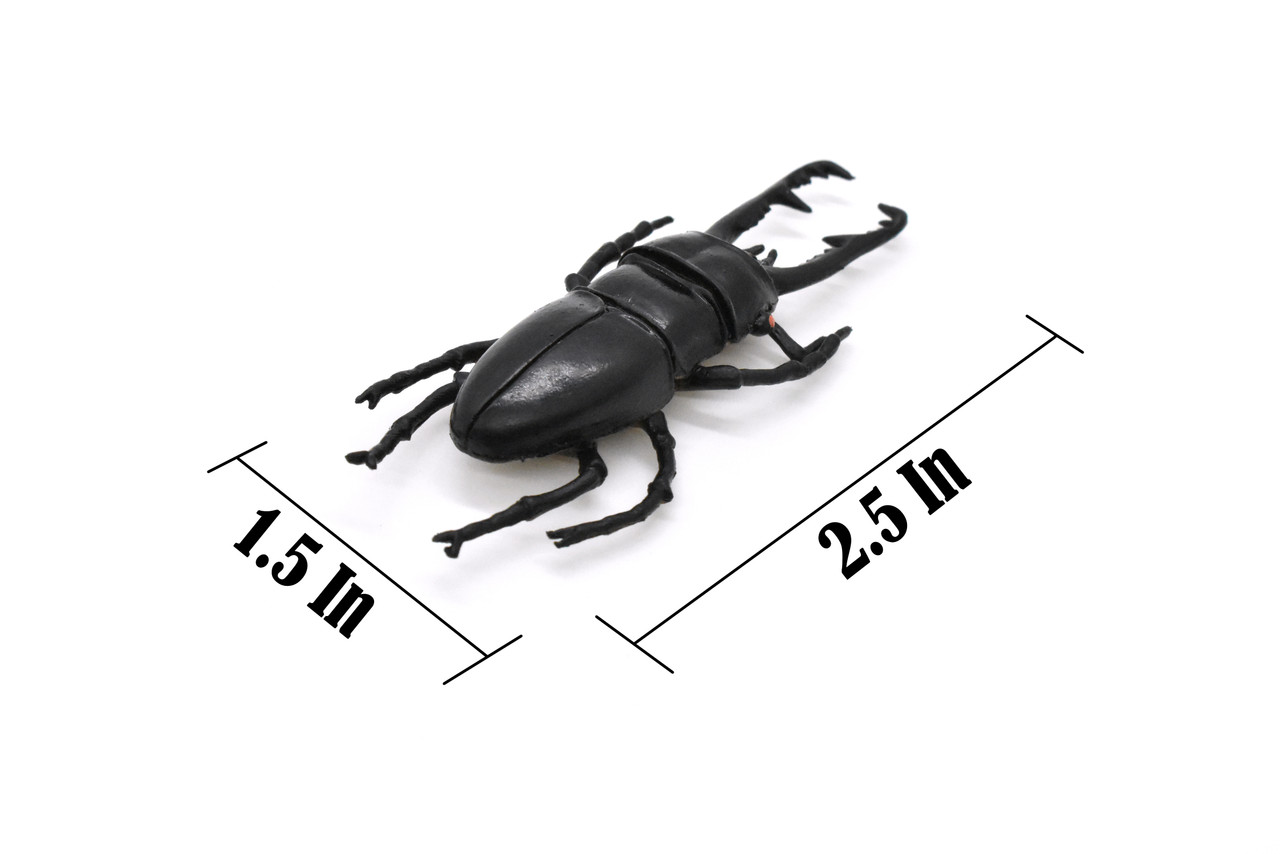 Stag Beetle, Lucanus cervus, Realistic Rubber Model, Bug, Insect, Educational, Hand Painted, Figure, Lifelike, Model, Figurine, Replica, Toy, 2 3/4 Inches 