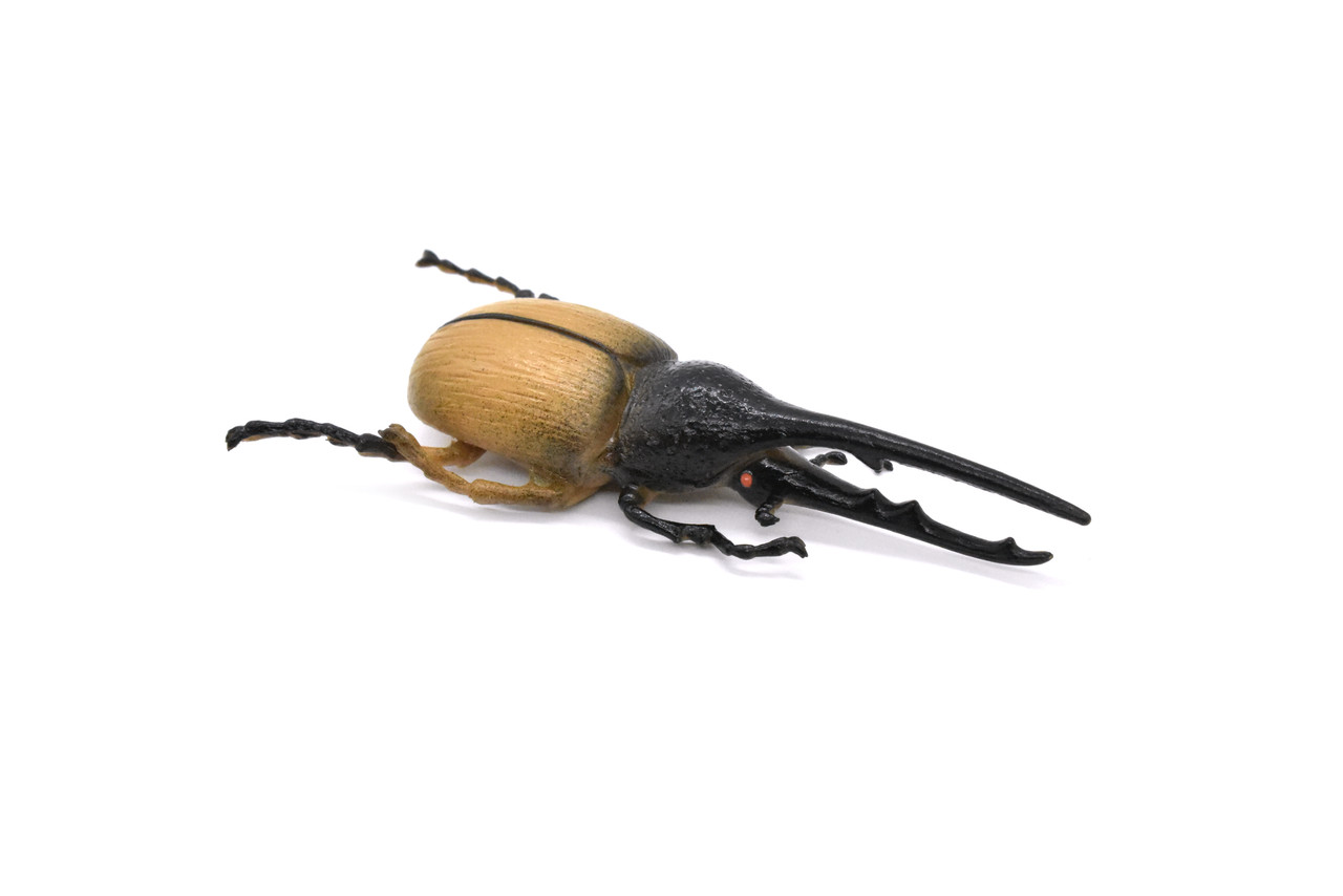 Hercules Beetle, Dynastes hercules, Realistic Rubber Model, Bug, Insect, Educational, Hand Painted, Figure, Lifelike, Model, Figurine, Replica, Toy, 3 Inches. 