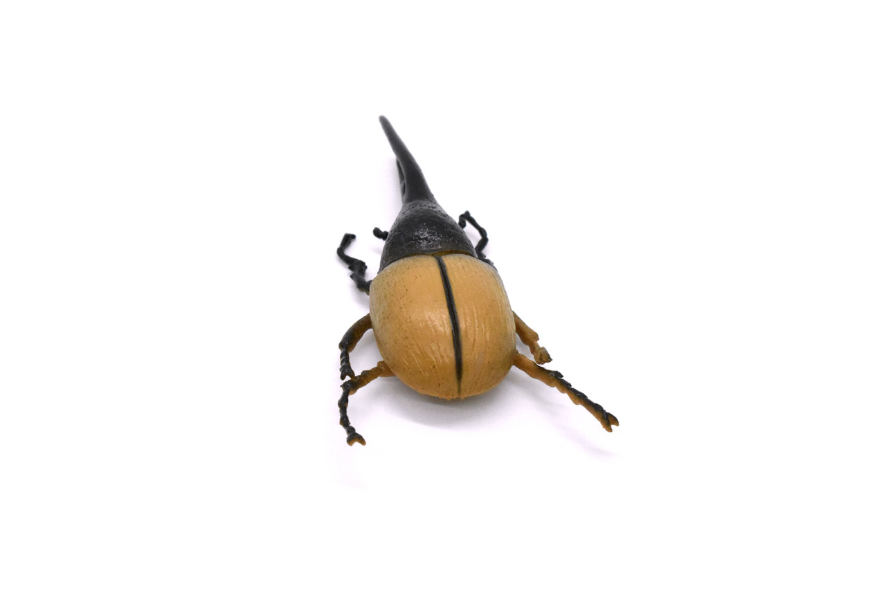 Hercules Beetle, Very Nice Rubber Reproduction     3"      CWG10 B13