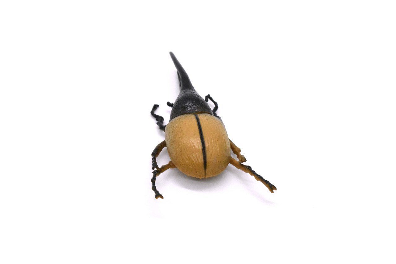 Hercules Beetle, Dynastes hercules, Realistic Rubber Model, Bug, Insect, Educational, Hand Painted, Figure, Lifelike, Model, Figurine, Replica, Toy, 3 Inches. 
