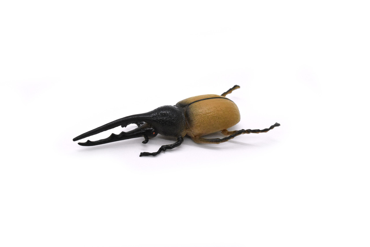 Hercules Beetle, Dynastes hercules, Realistic Rubber Model, Bug, Insect, Educational, Hand Painted, Figure, Lifelike, Model, Figurine, Replica, Toy, 3 Inches. 