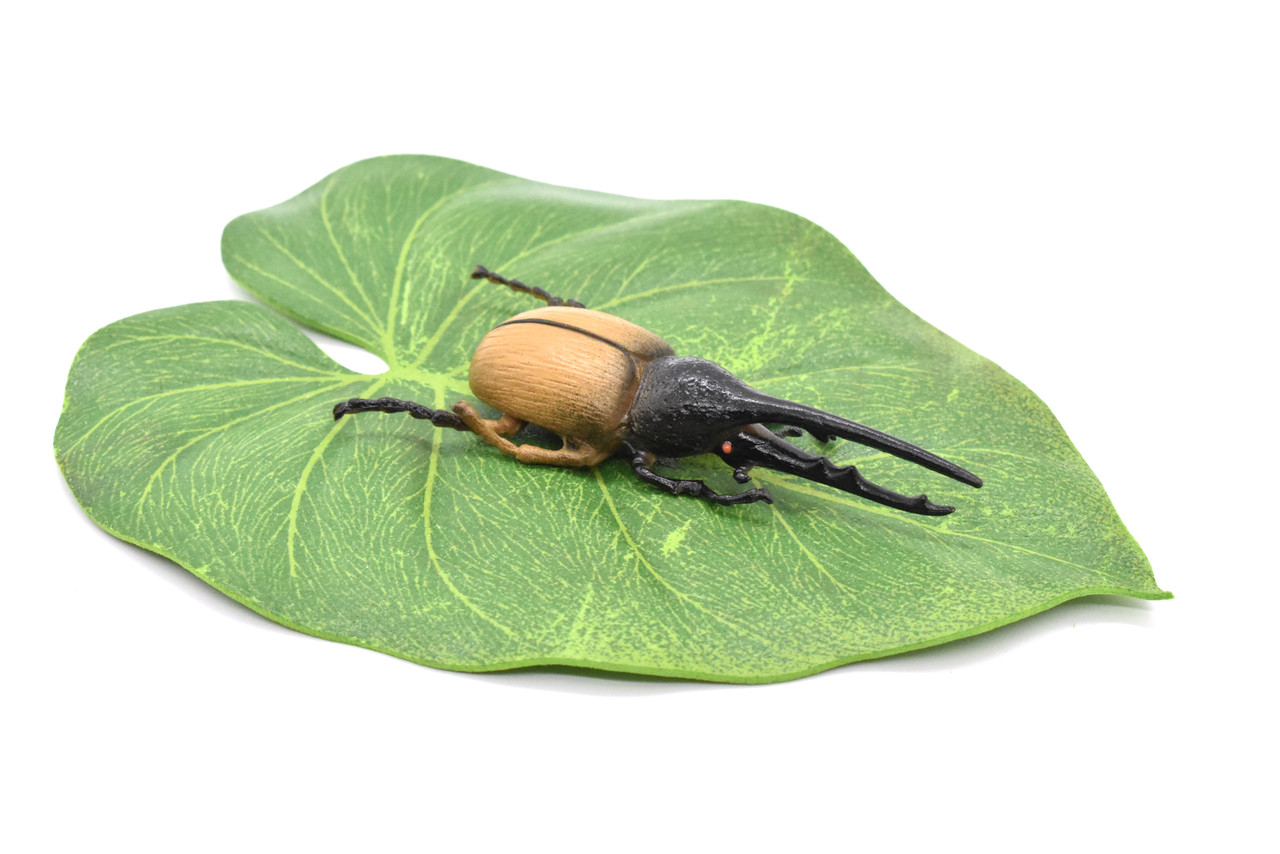 Hercules Beetle, Dynastes hercules, Realistic Rubber Model, Bug, Insect, Educational, Hand Painted, Figure, Lifelike, Model, Figurine, Replica, Toy, 3 Inches. 