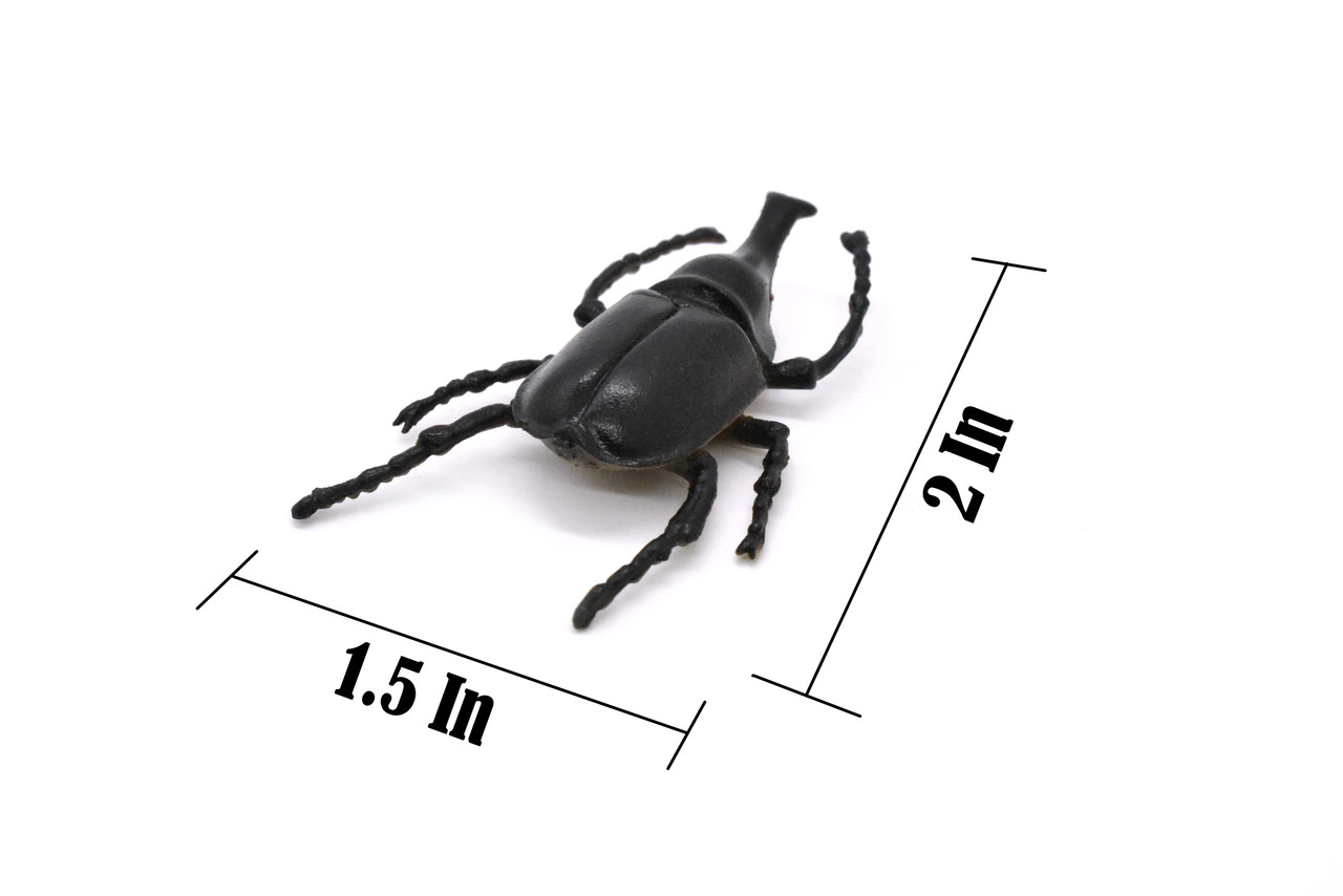 Elephant Beetle, Very Nice Rubber Reproduction     2"      CWG12 B13