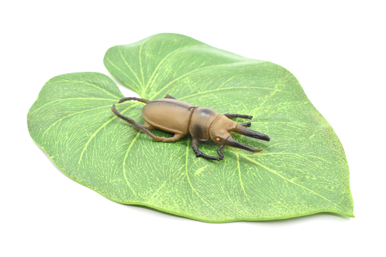 Stag Beetle, Lucanus cervus, Realistic Rubber Model, Bug, Insect, Educational, Hand Painted, Figure, Lifelike, Model, Figurine, Replica, Toy,  3 Inches. 