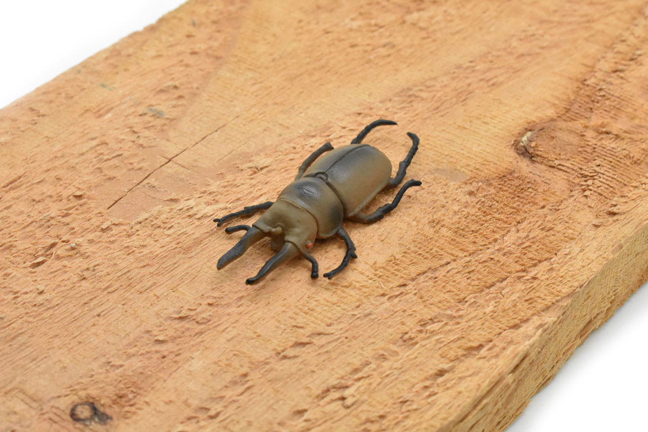 Stag Beetle, Lucanus cervus, Realistic Rubber Model, Bug, Insect, Educational, Hand Painted, Figure, Lifelike, Model, Figurine, Replica, Toy,  3 Inches. 