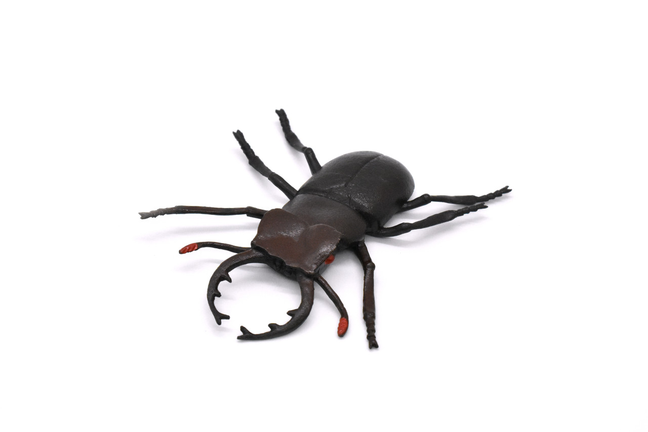 Stag Beetle, Lucanus cervus, Realistic Rubber Model, Bug, Insect, Educational, Hand Painted, Figure, Lifelike, Model, Figurine, Replica, Toy, 3 Inches  