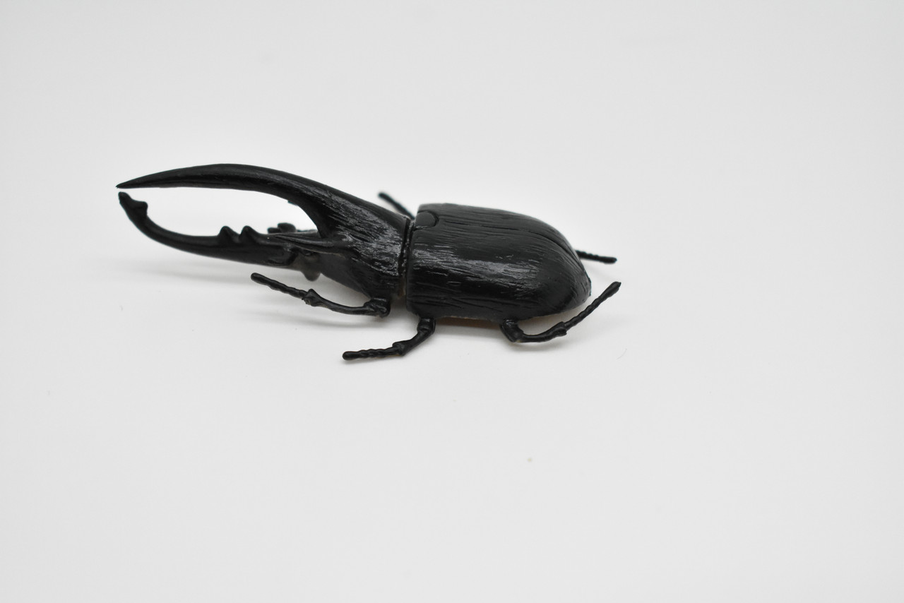 Hercules Beetle, Very Nice Rubber Reproduction     3"      CWG14 B13