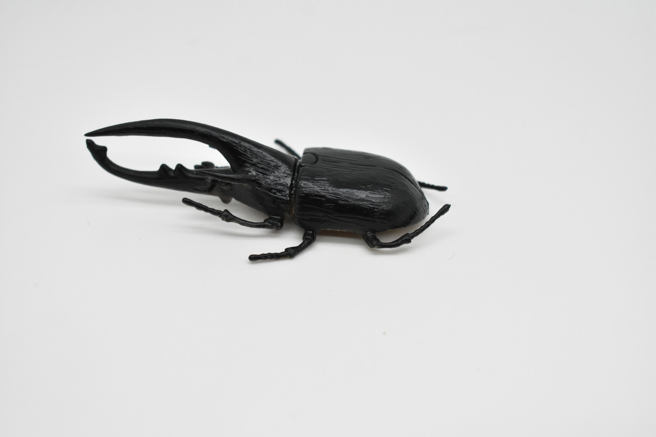 Hercules Beetle, Dynastes hercules, Realistic Rubber Model, Bug, Insect, Educational, Hand Painted, Figure, Lifelike, Model, Figurine, Replica, Toy,  3 Inches. 