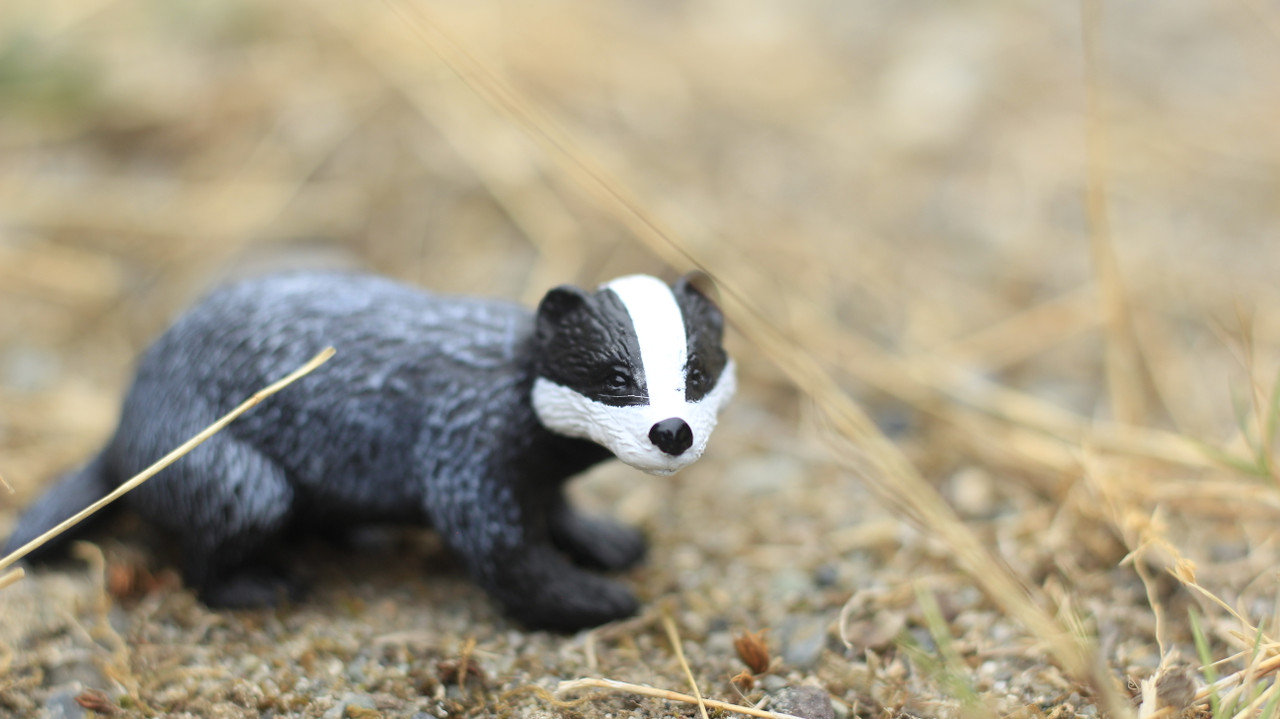 REALISTIC BADGER