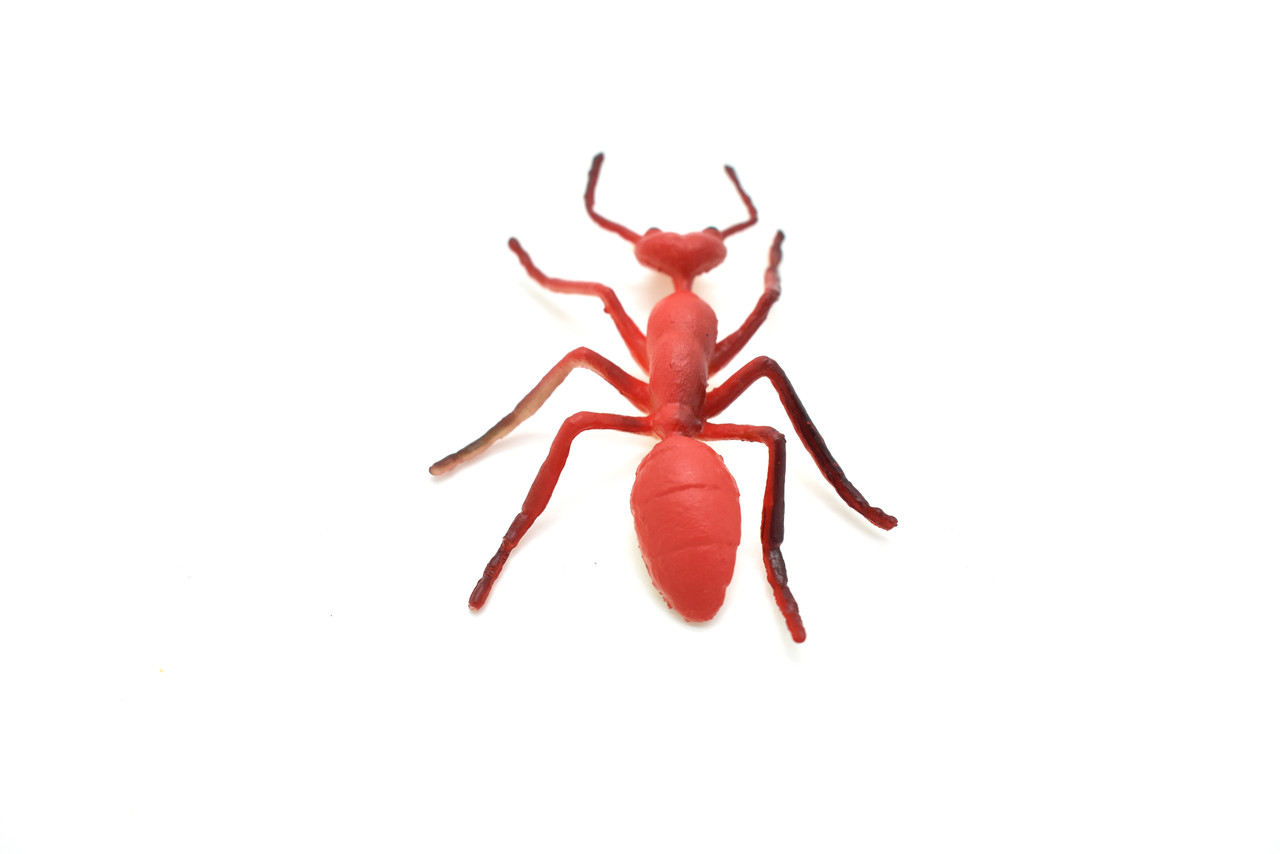 RED ANT