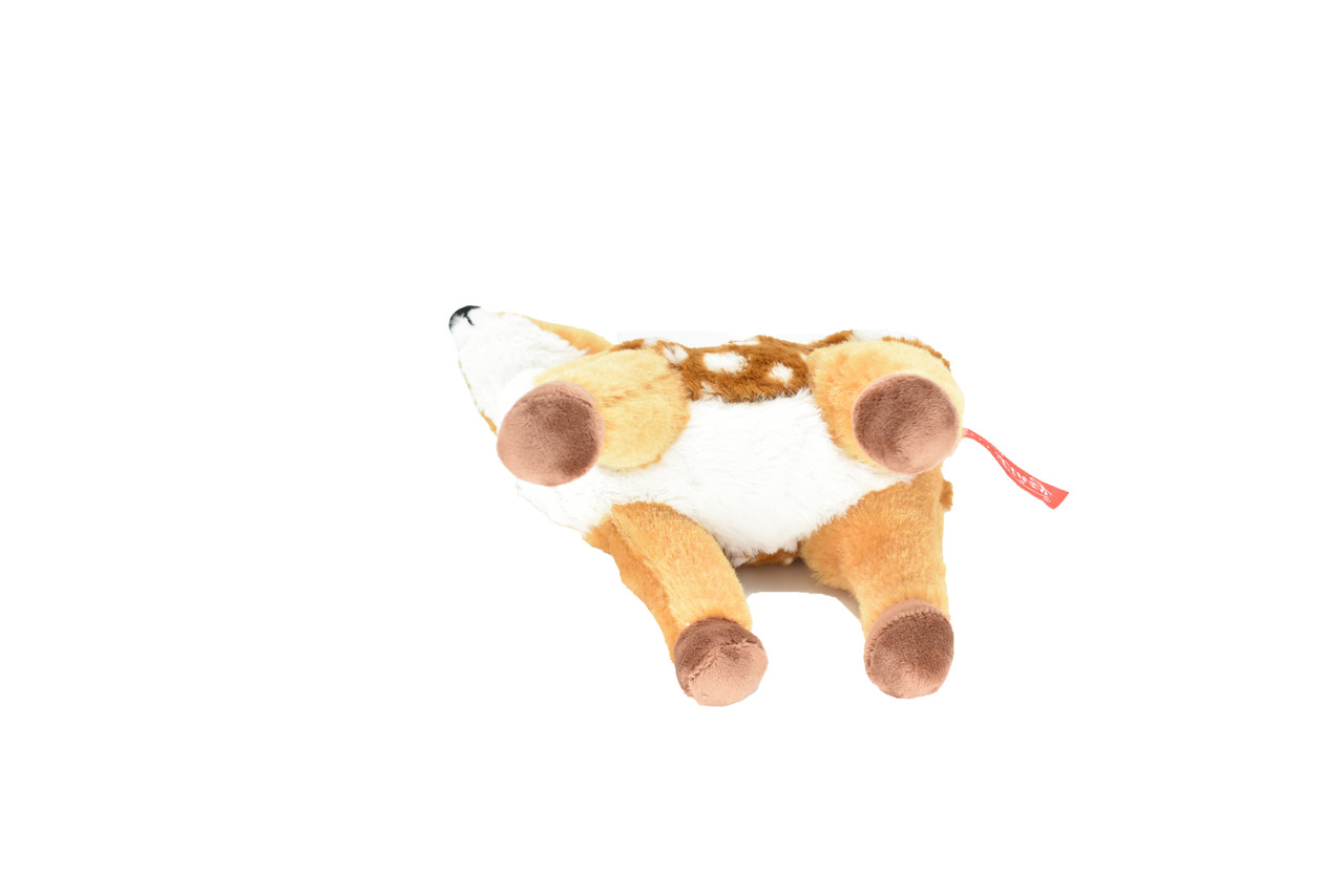 BOTTOM
