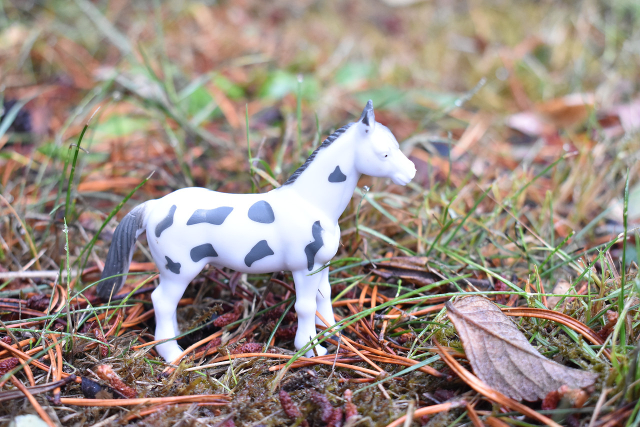 Horse, White & Gray Spots Plastic Toy Animal, Realistic Figure, Farm Model, Barnyard Replica, Kids Educational Gift 3.75"  F4421B121