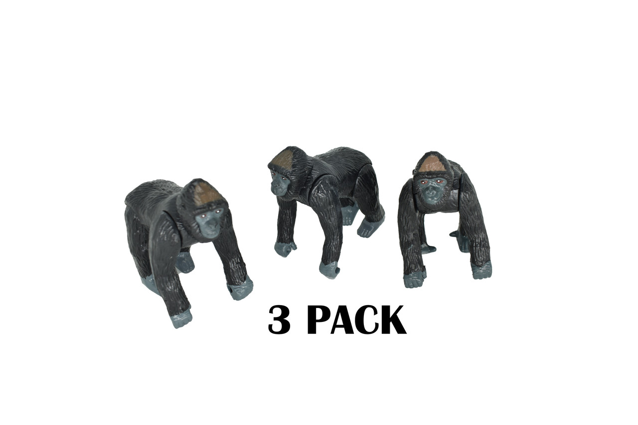 GRAB A 3 PACK FOR ANY OCCASION