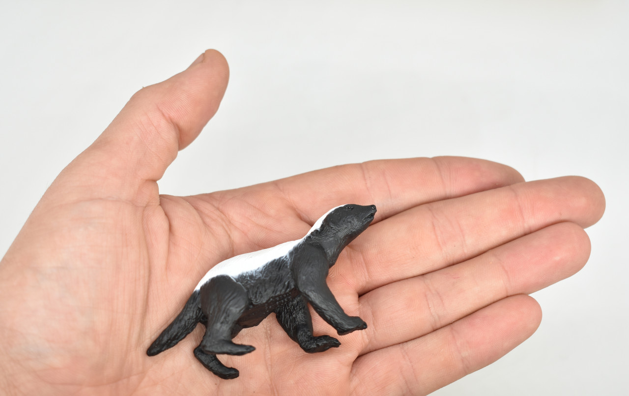 Honey Badger, Museum Quality Rubber Animal Toy, Educational, Realistic Hand  Painted Figure, Lifelike Model, 3 M065 B641