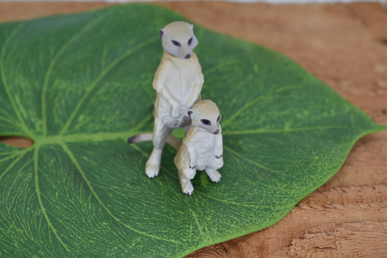Meerkat, Mother and Baby, Suricata suricatta, Very Nice Plastic Animal, Hand Painted, Realistic, Educational, Figure, Lifelike, Diorama Model, Replica, Toy,  2 Inches. 