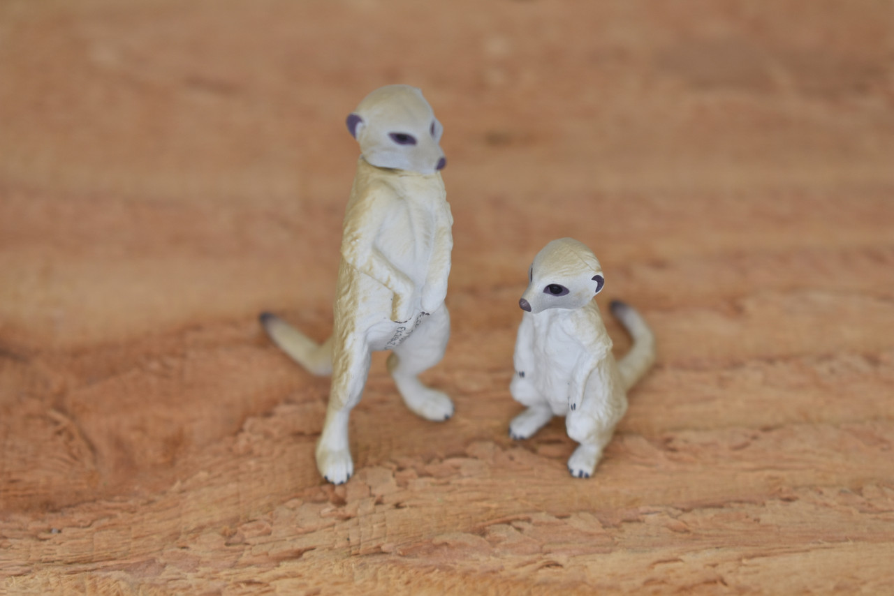 Meerkat, Mother and Baby, Suricata suricatta, Very Nice Plastic Animal, Hand Painted, Realistic, Educational, Figure, Lifelike, Diorama Model, Replica, Toy,  2 Inches. 