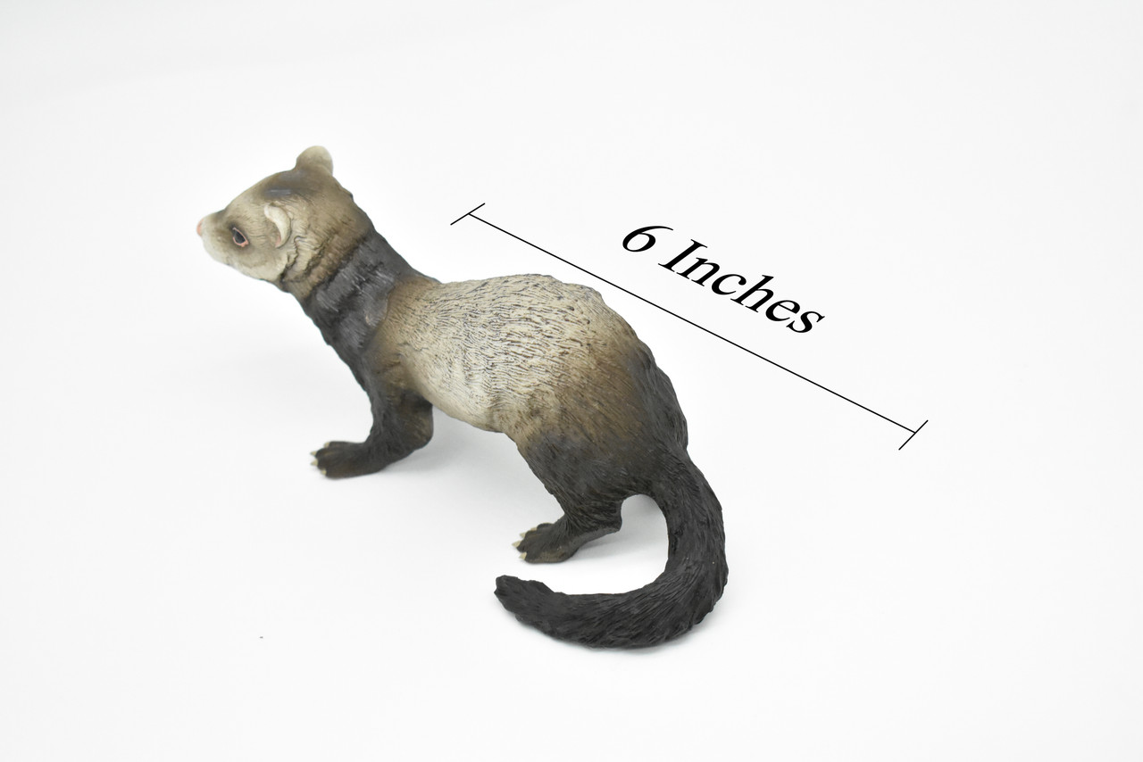 Ferret, Realistic Small Toy Model Plastic Replica African Animal, Kids Educational Gift   6"   F1353 B609