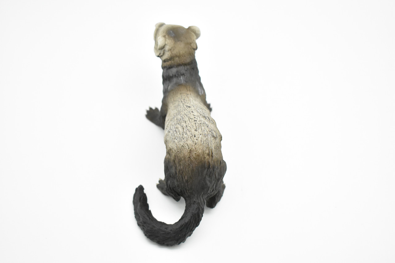 Ferret, Realistic Small Toy Model Plastic Replica African Animal, Kids Educational Gift   6"   F1353 B609