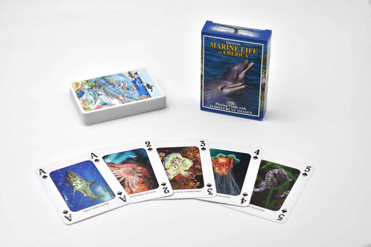 REAL MARINE WILDLIFE FROM AMERICA ON EVERY CARD!