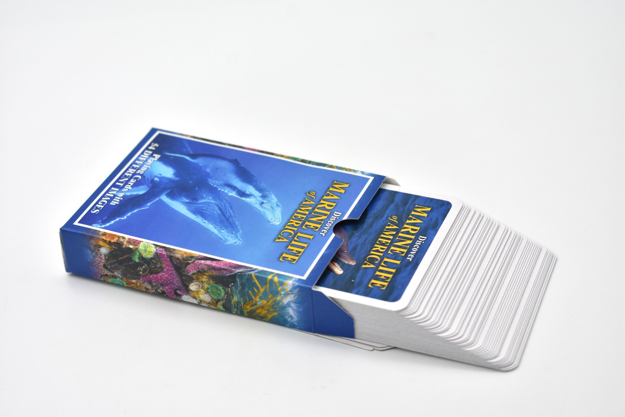 HIGH QUALITY PLAYING CARDS!