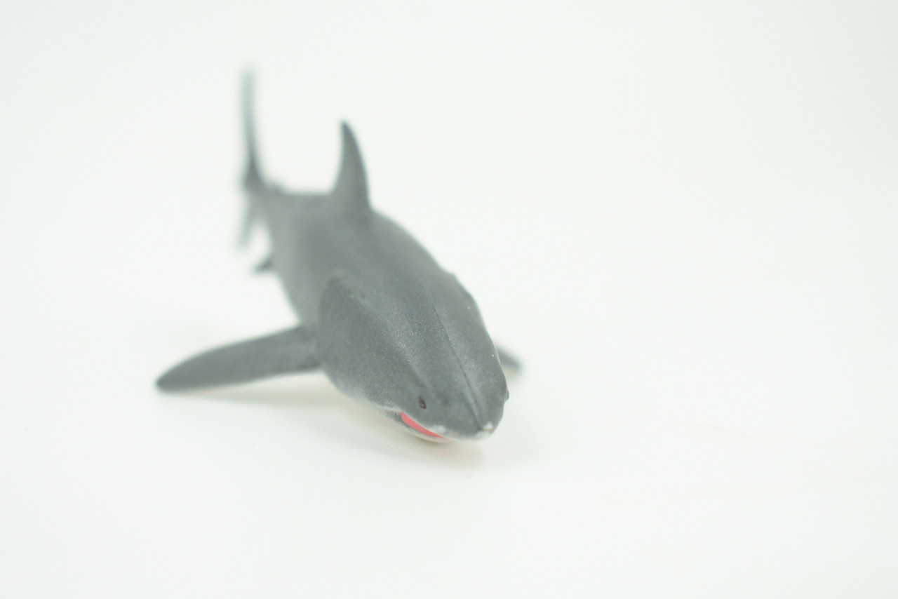 Bull Shark, River Shark, Very Nice Rubber Fish, Educational, Realistic Figure, Lifelike Model, Figurine, Replica, Gift,     3 1/2"  SF03 B51