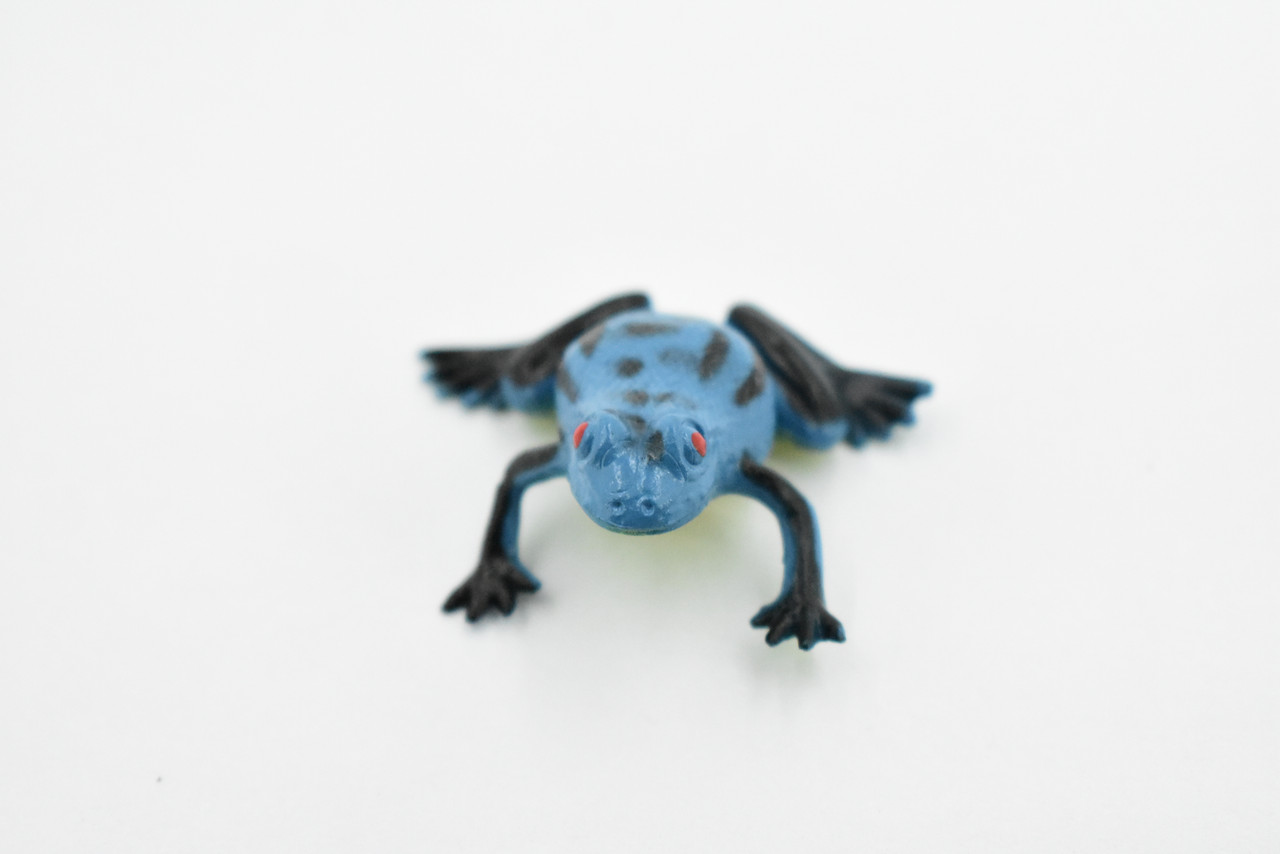 Frog, Blue Poison Dart Frog, Plastic Toy, Realistic, Figure, Model, Replica, Kids, Educational, Gift,    1 1/2"    CWG16 B47