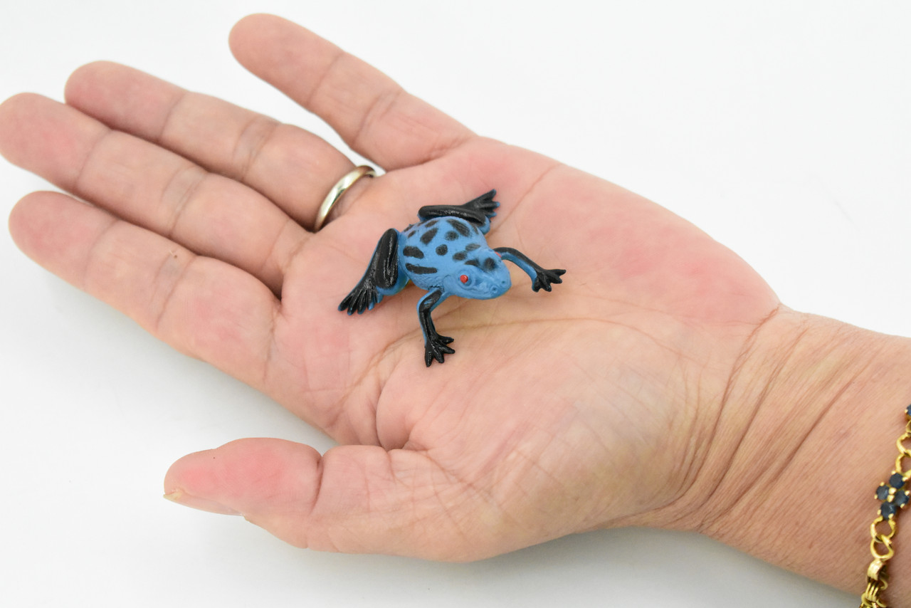 Blue Poison Dart Frog, Arrow Frog, Very Nice Plastic Design, Educational, Diorama, Realistic Figure, Lifelike, Replica, Toy, Kids, 1 1/2 Inches.