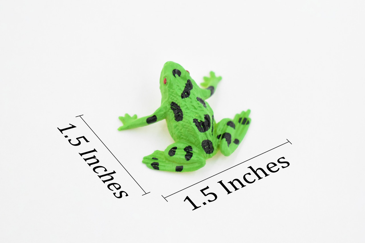 Frog, Green Spotted, Very Nice Plastic Design, Educational, Diorama, Realistic Figure, Lifelike, Replica, Toy, Kids,  1 1/2 Inches. 