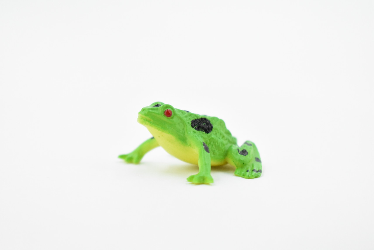 Frog, Green Spotted, Plastic Toy, Realistic, Figure, Model, Replica, Kids,  Educational, Gift, 1 1/2 CWG17 B47