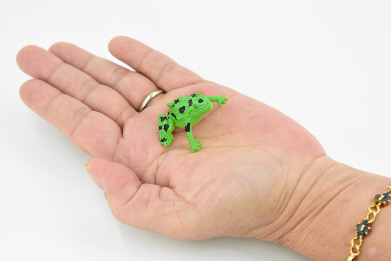 Frog, Green Spotted, Very Nice Plastic Design, Educational, Diorama, Realistic Figure, Lifelike, Replica, Toy, Kids,  1 1/2 Inches. 