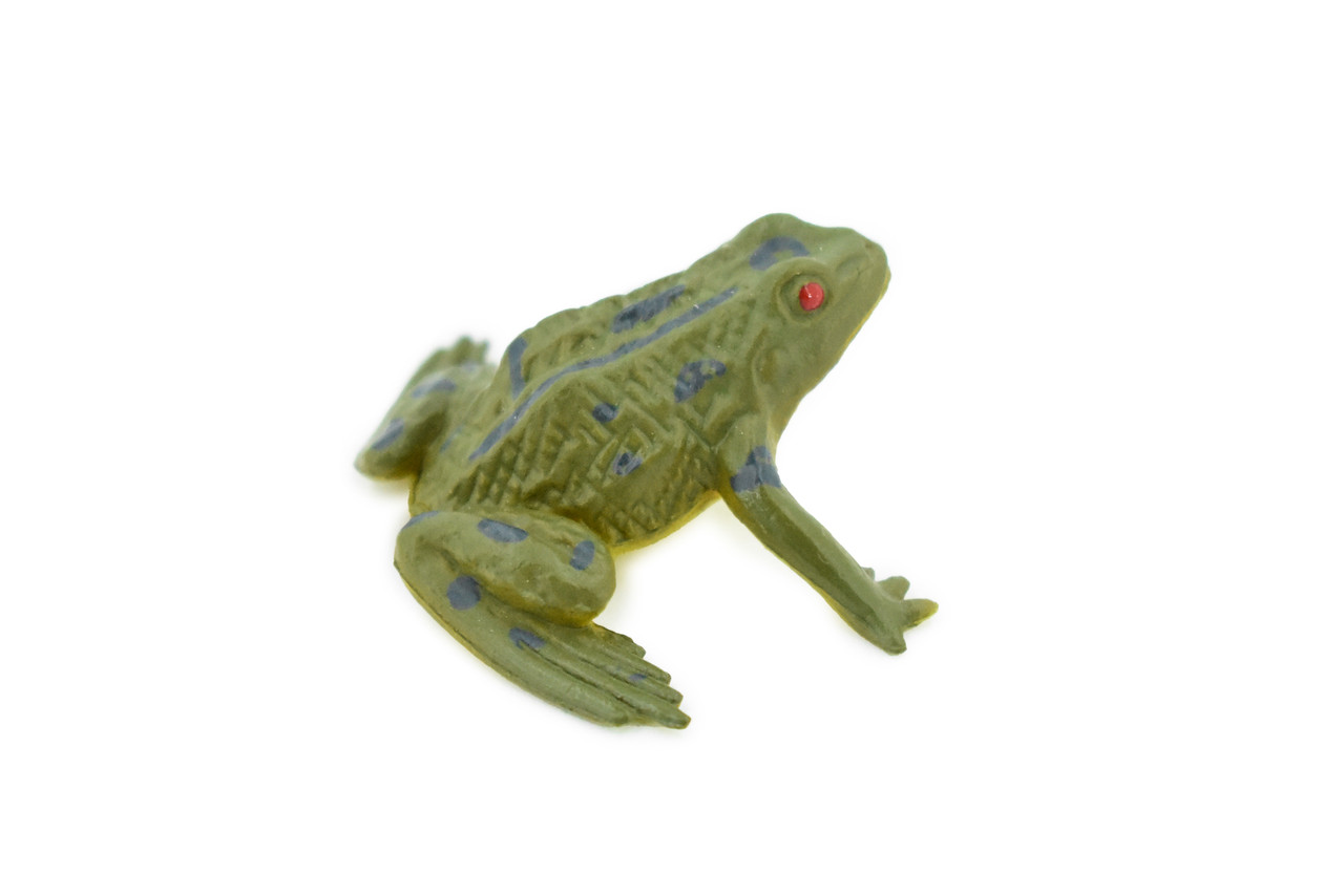 Frog, Green Bull Frog, Very Nice Plastic Design, Educational, Diorama, Realistic Figure, Lifelike, Replica, Toy, Kids, Gift,   1 1/2 Inches. 