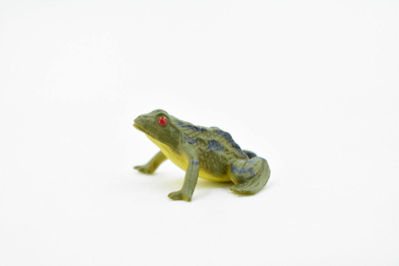 Frog, Green Bull Frog, Very Nice Plastic Design, Educational, Diorama, Realistic Figure, Lifelike, Replica, Toy, Kids, Gift,   1 1/2 Inches. 