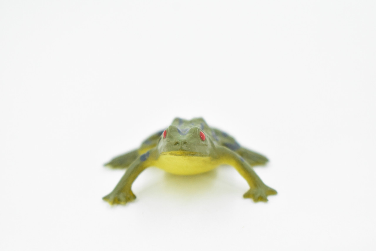 Frog, Green Bull Frog, Very Nice Plastic Design, Educational, Diorama, Realistic Figure, Lifelike, Replica, Toy, Kids, Gift,   1 1/2 Inches. 