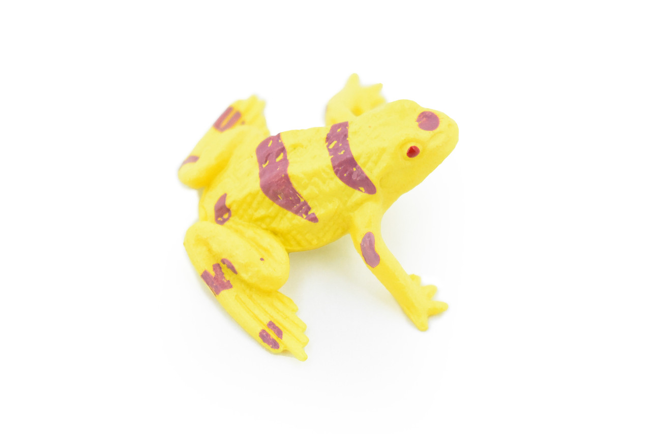 Yellow-banded poison dart frog, Arrow Frog, Very Nice Plastic Design, Educational, Diorama, Realistic Figure, Lifelike, Toy, Kids,  1 1/2 Inches. 