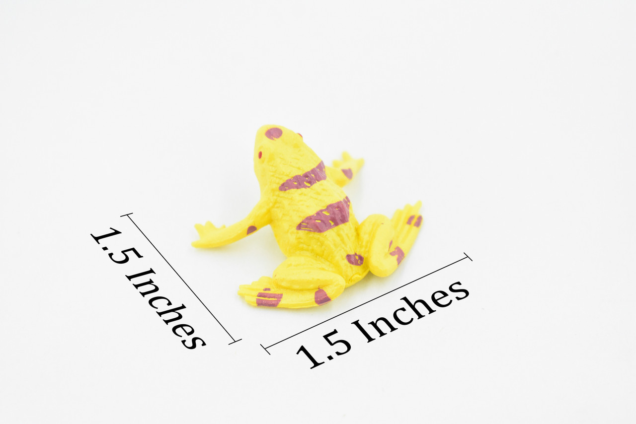 Yellow-banded poison dart frog, Arrow Frog, Very Nice Plastic Design, Educational, Diorama, Realistic Figure, Lifelike, Toy, Kids,  1 1/2 Inches. 