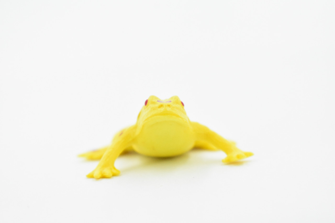 Yellow-banded poison dart frog, Arrow Frog, Very Nice Plastic Design, Educational, Diorama, Realistic Figure, Lifelike, Toy, Kids, Gift,   1 1/2 Inches.   CWG19 B47